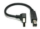 Newnex USB 2.0 Right Angle A-plug to B-plug - 12in (UH2-ABR01-12)